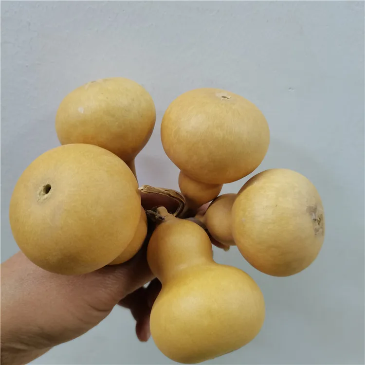 DFS51 Splicing Gourd High Quality INS Popular Natural Dried Flowers Calabash Gourd & Lagenaria Siceraria for Home Decor