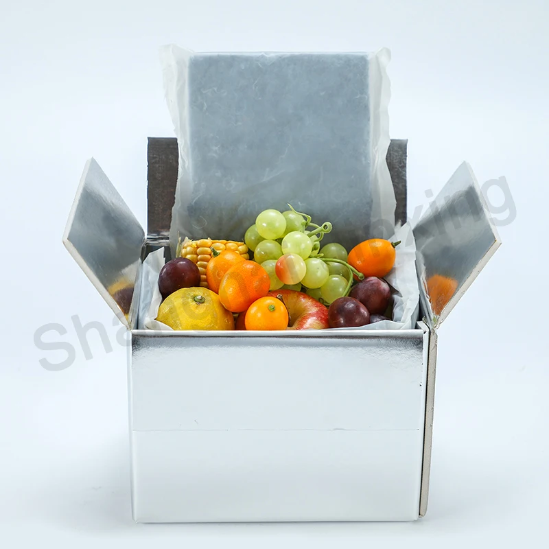 Изолированная пенопластовая упаковка для доставки свежих продуктов/Термоизолированный мешок/алюминиевая фольга пищевая пузырьковая изоляционная сумка