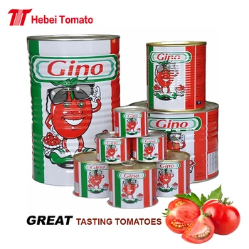 Best Selling Agriculture Green Food No Additives Delicious Customized Double Concentrate Canned Tomato Paste 210g for Africa