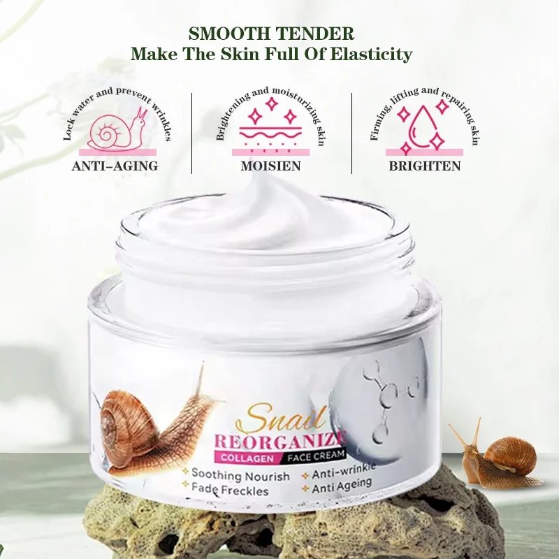 Anti-Falten Creme Mit Schneckenschleim – 48 G, Mit Centella Asiatica & Glutathion