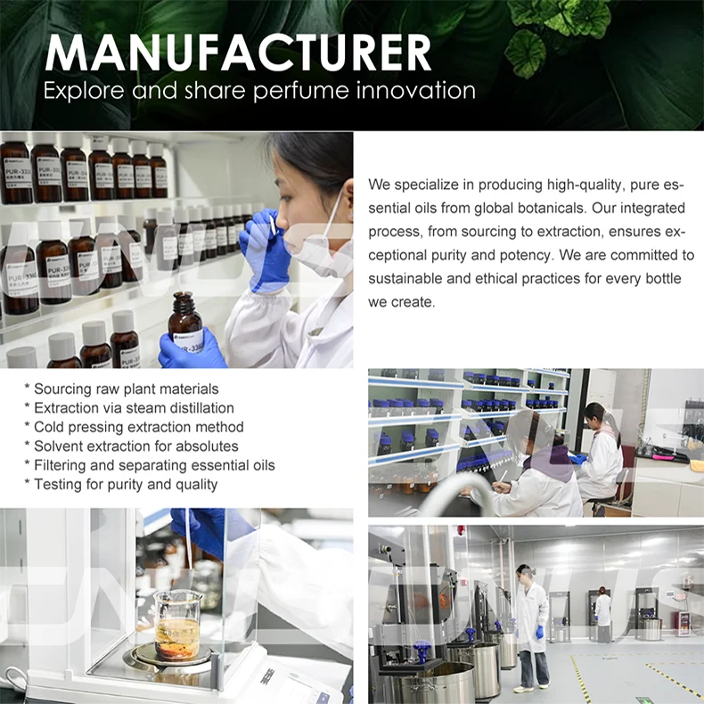 Company overview