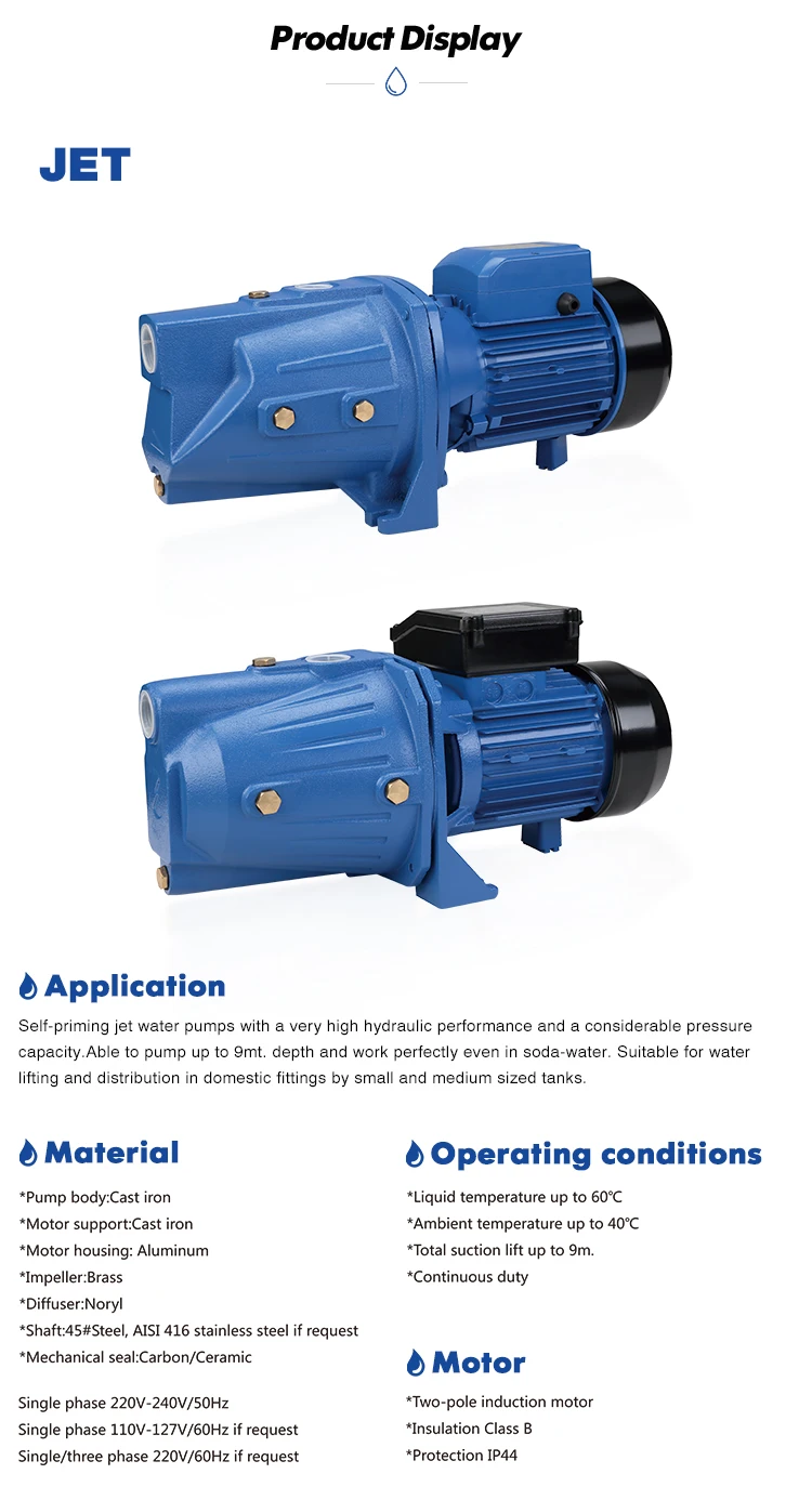 Ac 220v Electric 1hp Water Pump Selfpriming Jet Pumps Buy Self