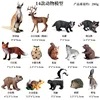 Juego de 14 artículos de vida silvestre colorida (TZA1099)