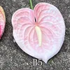 3# Pink, B5 small red palm light powder