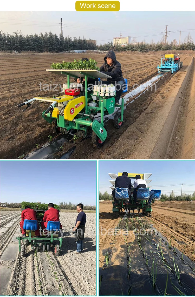 Automatic Seedling Planting Machine 2rows Hand Push Vegetable Onion Seed Planter Plant Seedling
