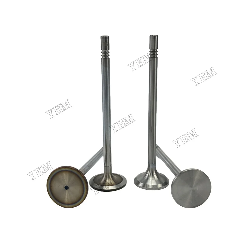 Exhaust Intake Valve Fit for Deutz TCD2013-L06-4V Engine 6