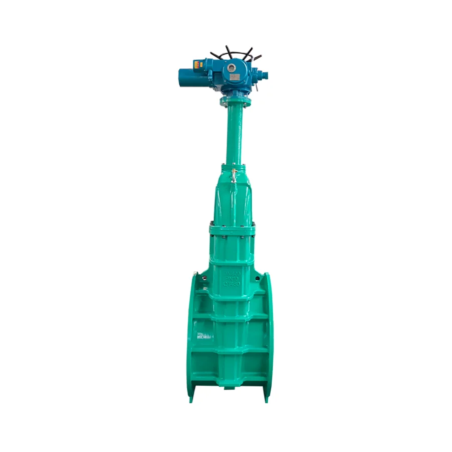 Electric Actuator Gate Valve Extended Stem Cast Iron Flanged Resilient Seat Ductile Iron Body PN10/PN16 DN40-DN300 Water Valve