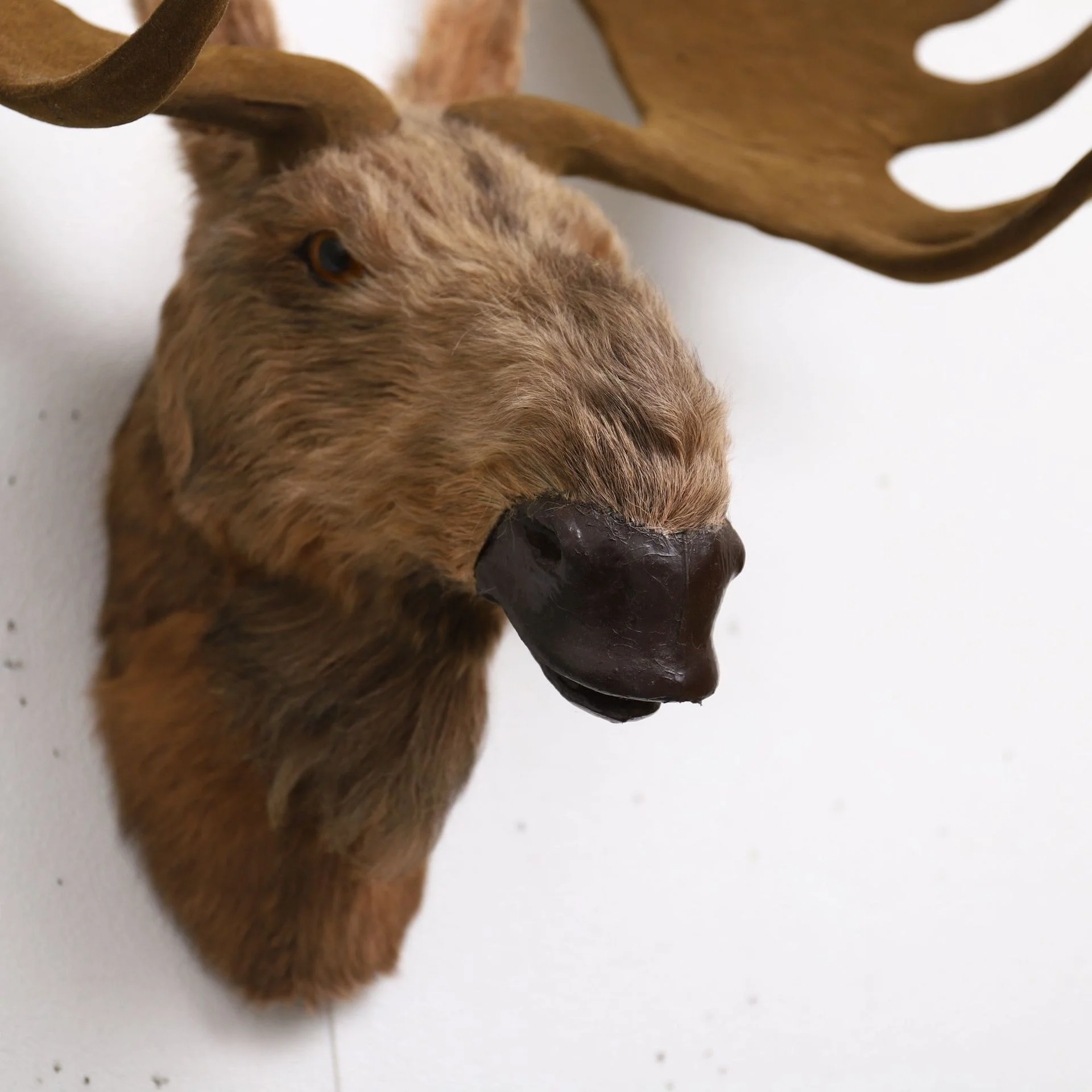 Simulation Reindeer Head Model 1 to 1 Real Size Moose Head Wall Decorations for Home