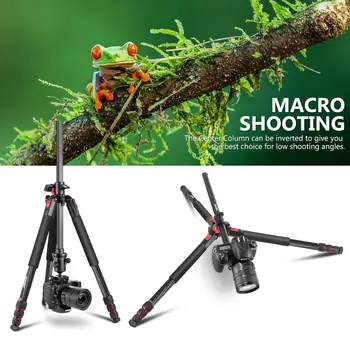 Neewer TP75 Camera Tripod Monopod  Fiber With Rotatable Center Column-Portable Lightweight,75 Inches/191 Centimeters,360 Degree detail image
