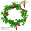 Red chili pepper vines (large fruit)