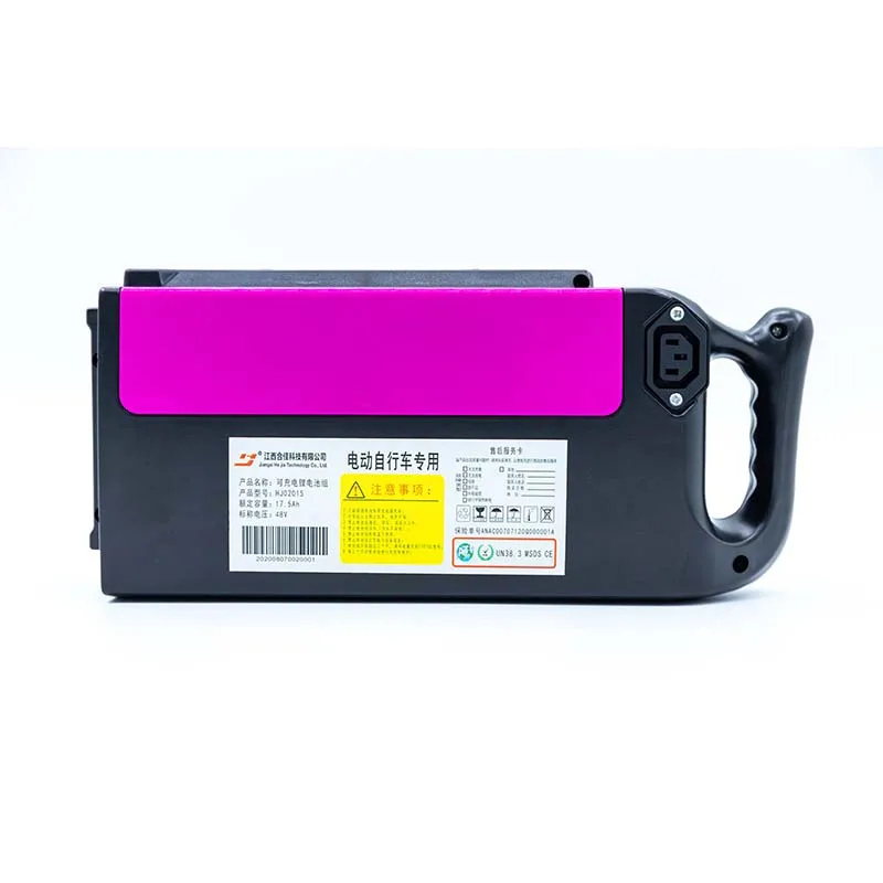 Wholesale Price 48v Lithium ion Battery for Electric Vehicle
