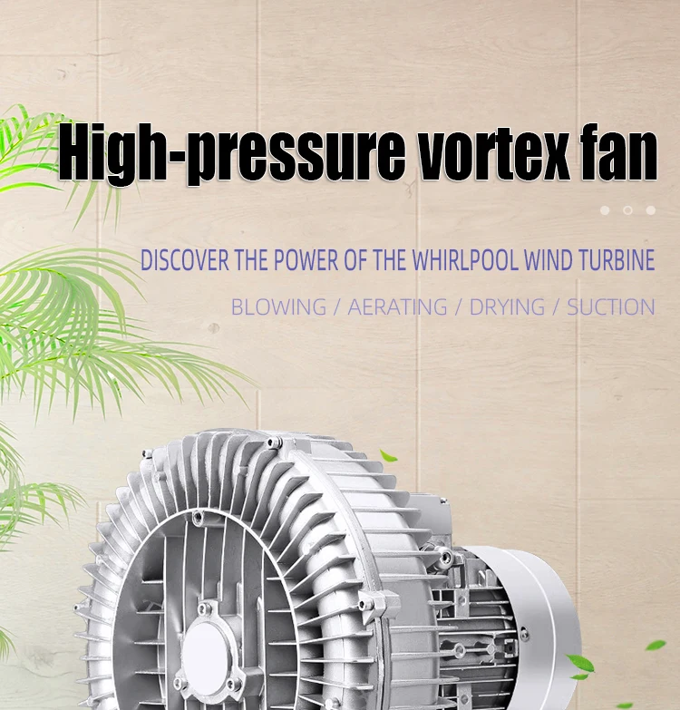 Ring Blower, 2hp, 3HP, 5hp, 7.5hp - detail 2