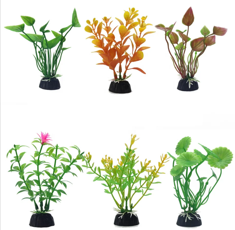 Paisajismo Para Acuarios Plantas De Agua Para Tipo 2 Paisajismo Para Acuarios Plantas De Agua Para Tipo 2