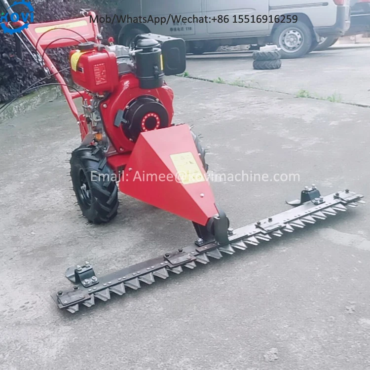 Handheld Push Lawn Mower Machine Grass Cutting Machine Grass Cutter Machine Gasoline Lawn Mower