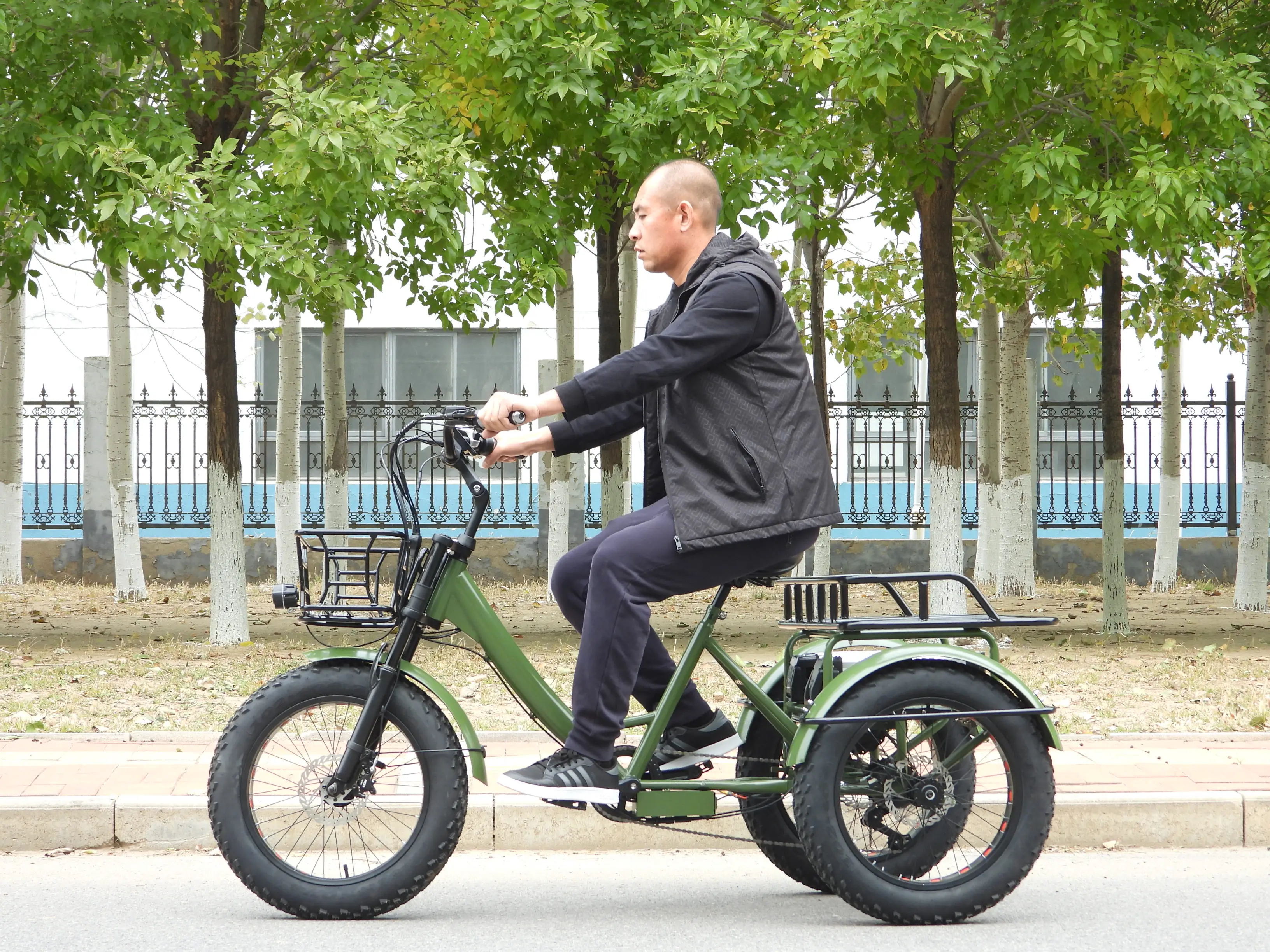 2024 New Electric Trike 3 Wheel Removable Battery Assisted Pedal Lcd