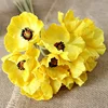 Giallo