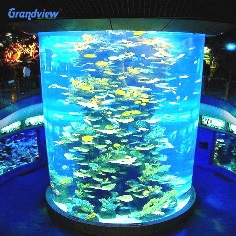 魚 タンク アイソレーション ポータブル プラスチック アクセサリー 水族館 Amazon | PATKAW 魚 タンク アイソレーション ボード ポータブル