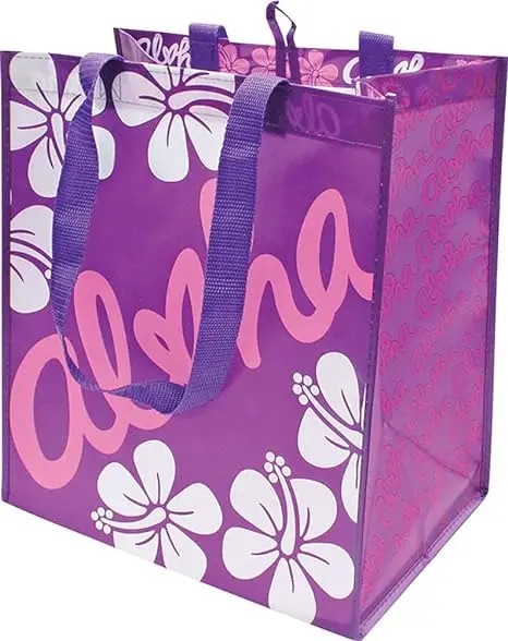 Foldable Reusable Bag for Grocery Groceries Promotion Eco-friendly Non Woven Design Shop Shopping Bag Grocery Bag Plain Foldable supplier