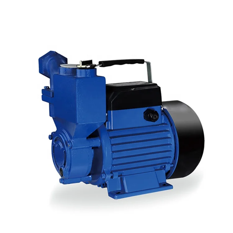 220 Volt Domestic Garden Selfpriming Water Pump Household Booster