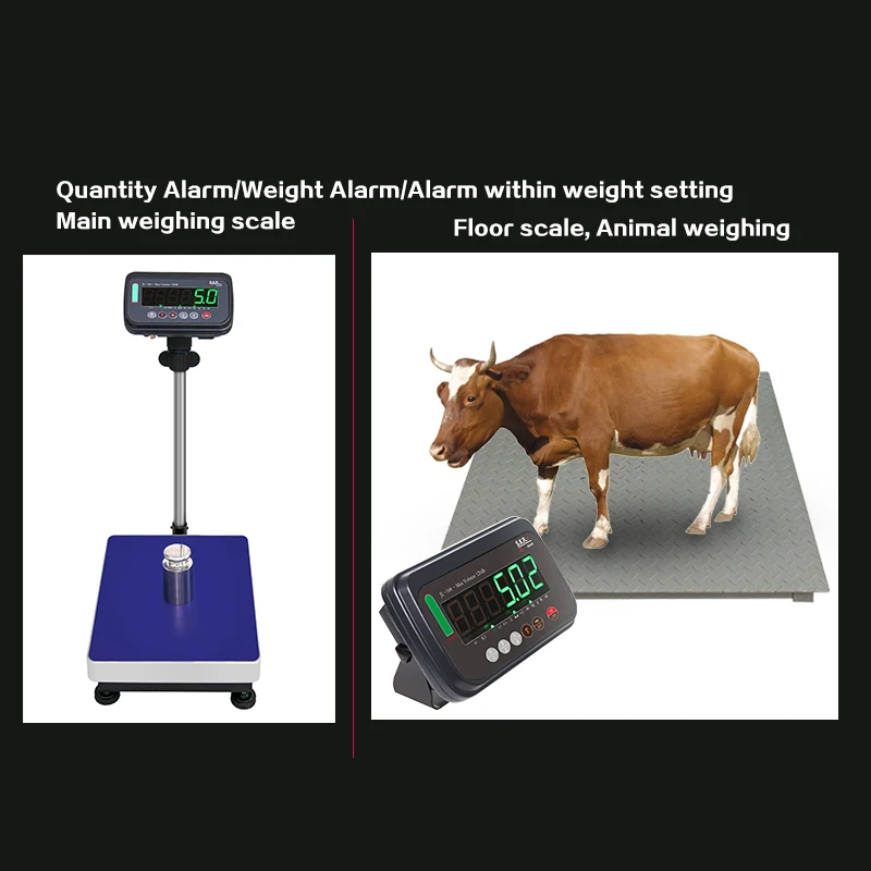 Animal Weighing Scale