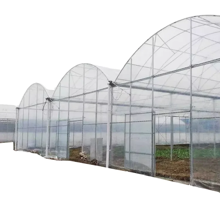 Sainpoly Low Cost Multi Span Greenhouse Agricultural Equipment  Autom 40x100 Film Greenhouse for Sale
