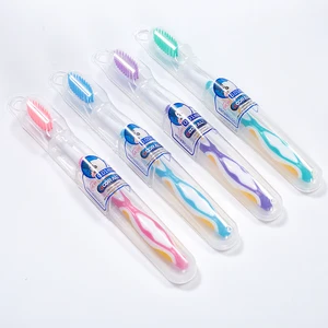 New Adult Household Toothbrush Thin Long Plastic Handle with Soft Nylon Bristles Biodegradable and Disposable