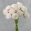 Rosa Agua