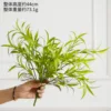 Small bamboo leaves are dark green