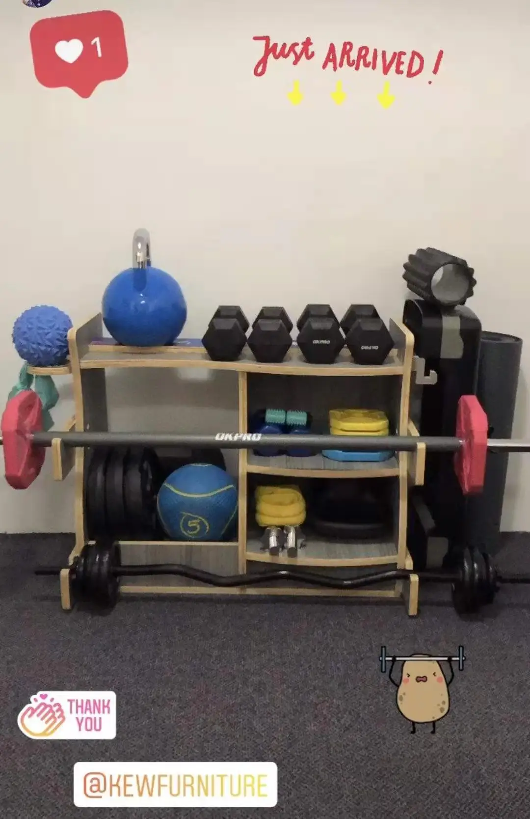 Universal Healthy Body Exercise Gym Lab Equipment Rack