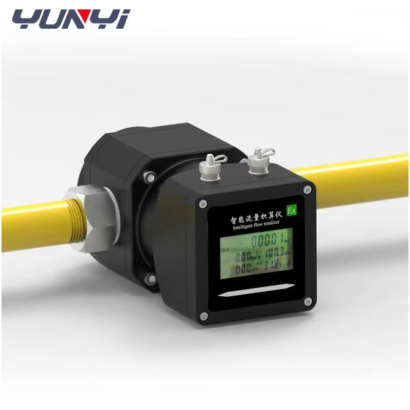 Yunyi Intelligent Digital Hart Flowmeter High Precision Natural Gas Liquefied Carbon Roots Meter LCD for Air Water Oil-OEM