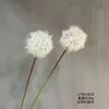 Small