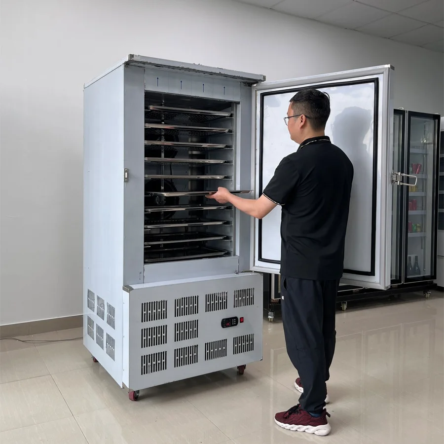 10 Trays Small Fast Freezing Iqf Shock Blast Freezer