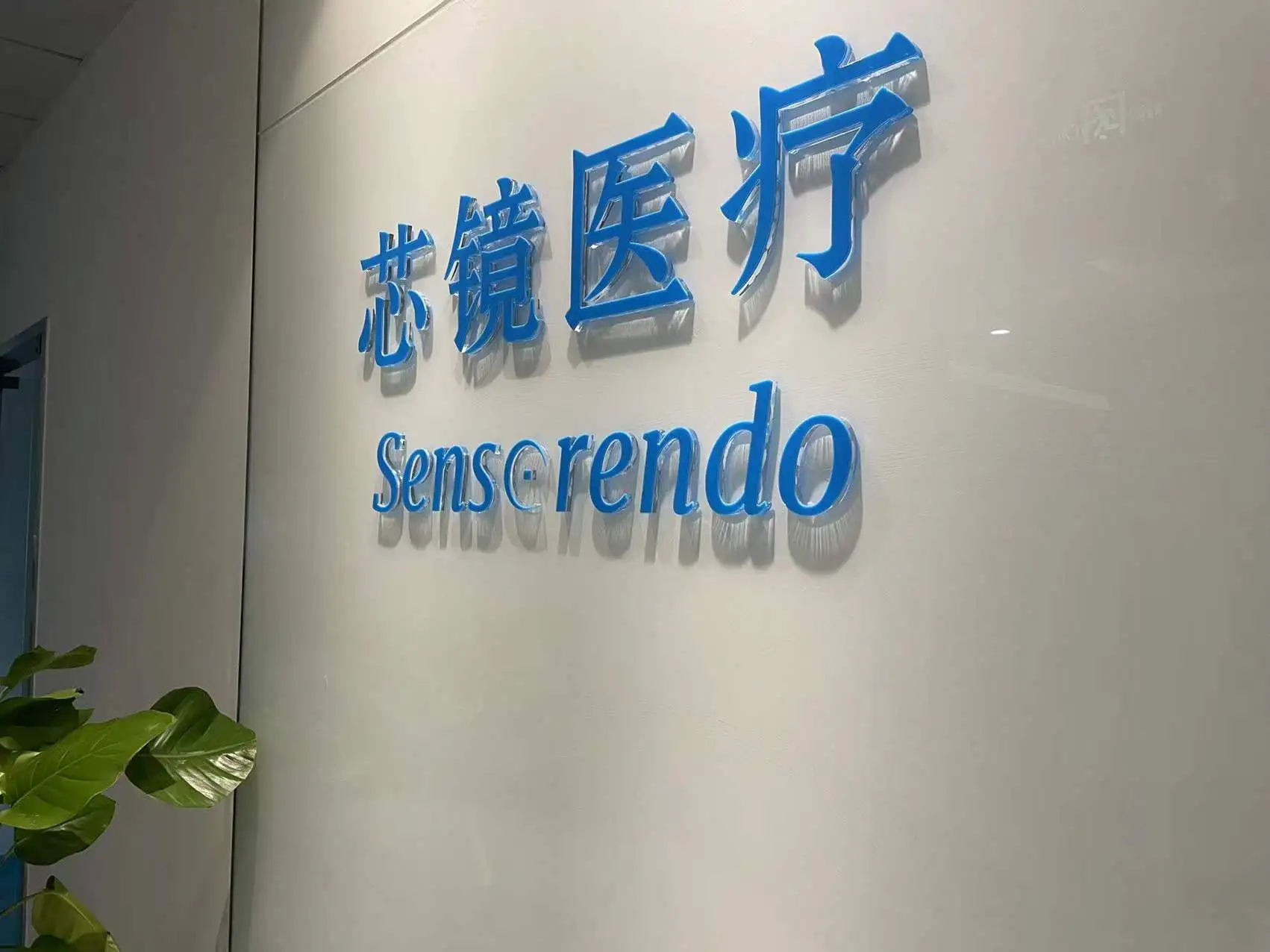Sensorendo Medical Technology (zhuhai) Co., Ltd.