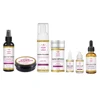 Wig Install Kit