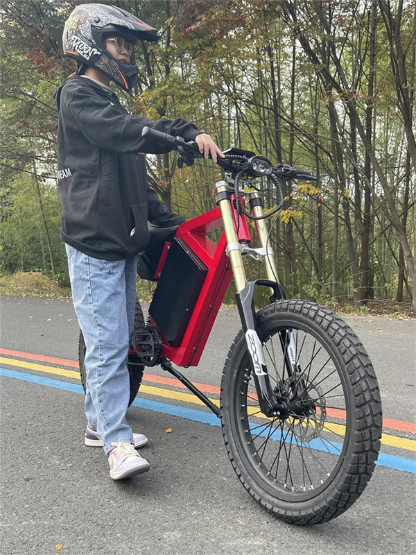 Dirt Bike Front Forks 26 Inch Fat Bicycle Double Crown Fork Dh Front