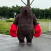 Boxing bear