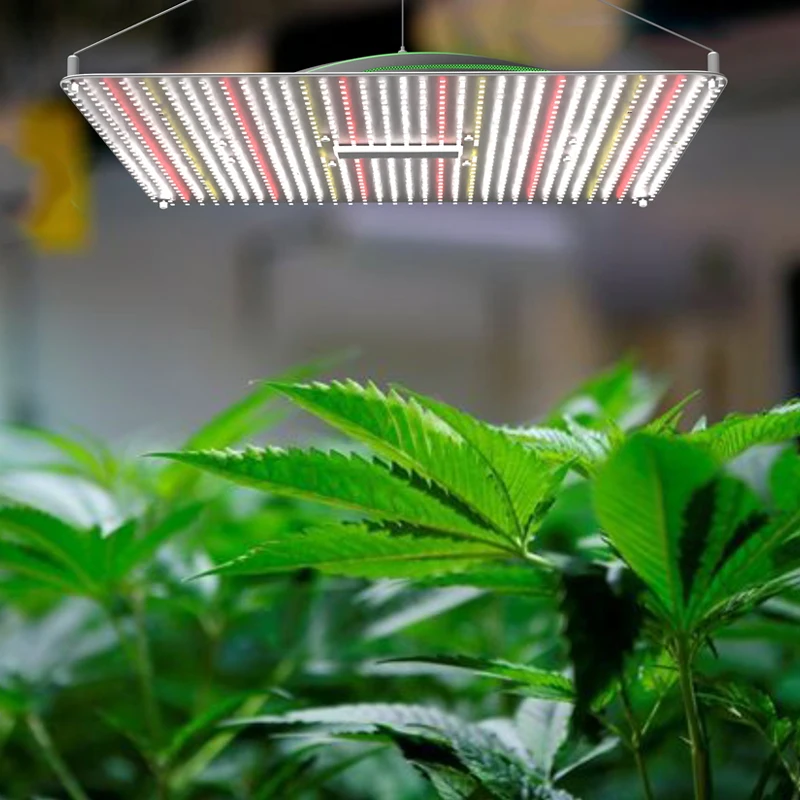 leafy greens pot culture bonsai clone seedlings led grow panel