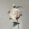 แชมเปญ