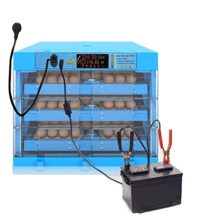 Online Service Thermostat Eggs Incubators Design Thermometer Hygrometeregg Incubator Dual Power Supply, New Fully Automatic Blue