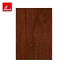 BVS015 Noce nera