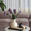 Pourpre
