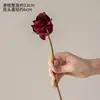 Crimson Handwritten Elsa Rose (1 branch)