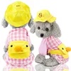 Pink checkered duck yellow hat