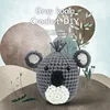Koala gris
