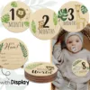 7 milestones