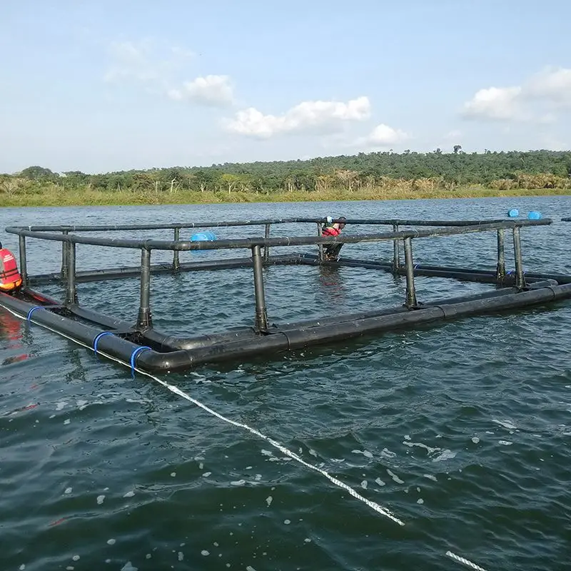 HDPE pipe for Square floating aquaculture Tilapia fish farming Square Cages