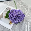 Pourpre