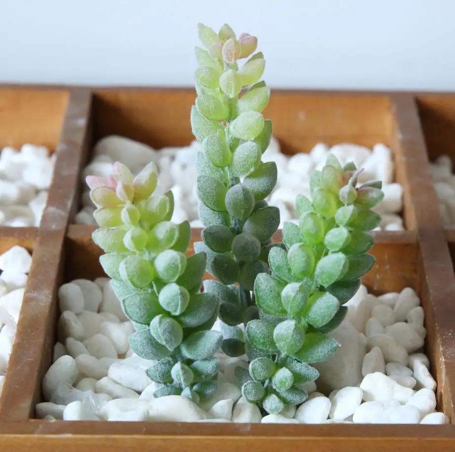 Several Different Type Rare Highly Simulation Small Flocked Artifical Succulent Plants in Pot