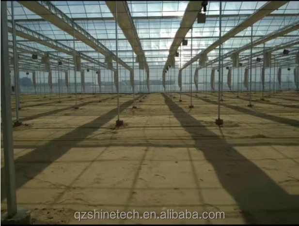 Multi-span film greenhouse