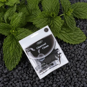 Daily Care ISO GMP Manufacturer Price Vegan Bamboo String Interdental Floss Pick Mint Flavor Dental Floss Pick for Adult